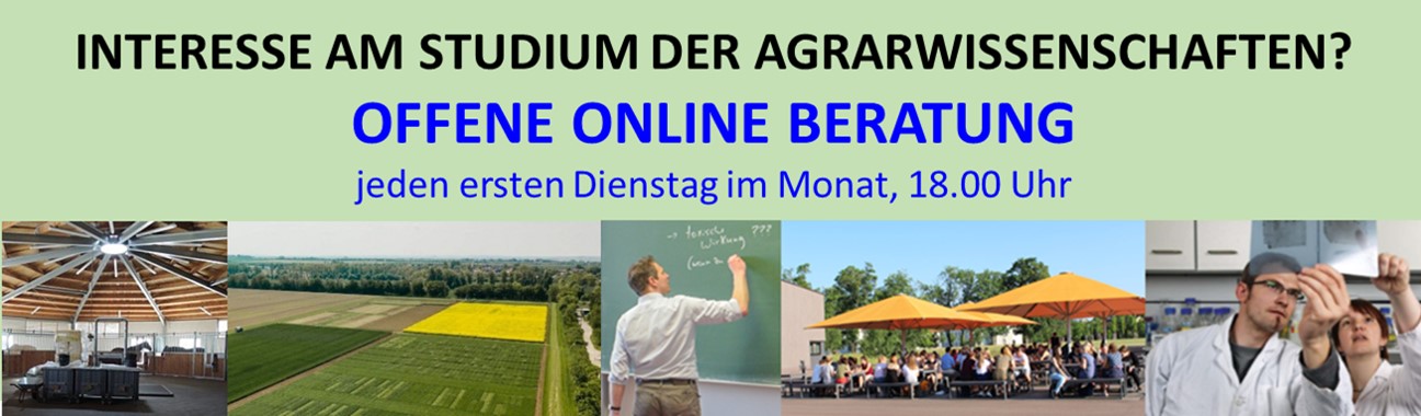 Online-Studienberatung IAEW