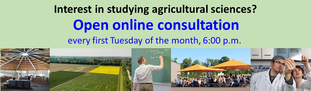 Online-Studienberatung IAEW
