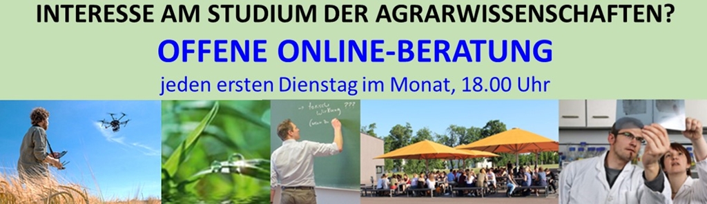 Online-Studienberatung IAEW